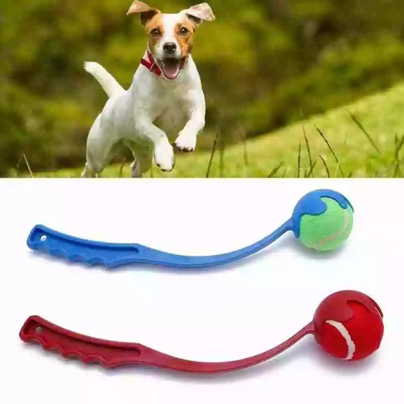 Lance-balle pour chien – Jouet interactif d'extérieur, 38 cm