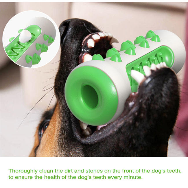 Brosse à dents à mâcher pour chien – Jouet dentaire 11 cm