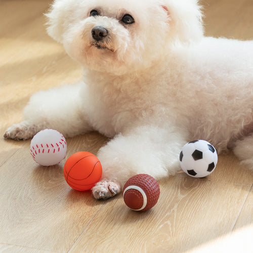 Balles couinantes en latex pour chien – Football, Tennis, Rugby, Basketball