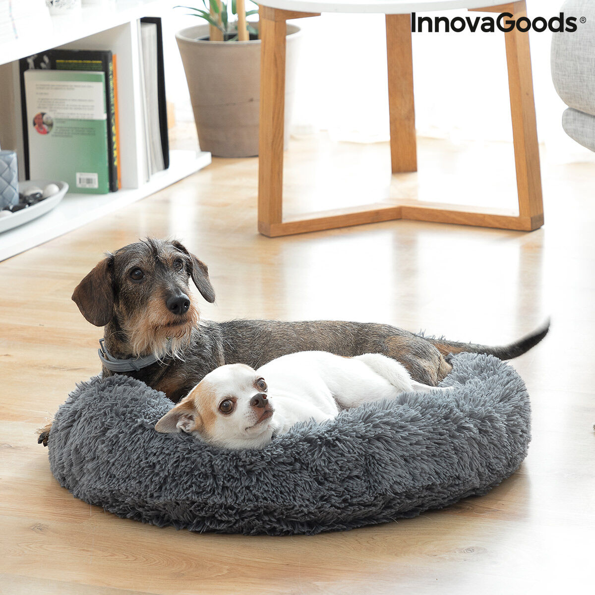 Innovagoods Lit Pour Animaux De Compagnie Antistress Bepess Innovagoods Ø 60 Cm