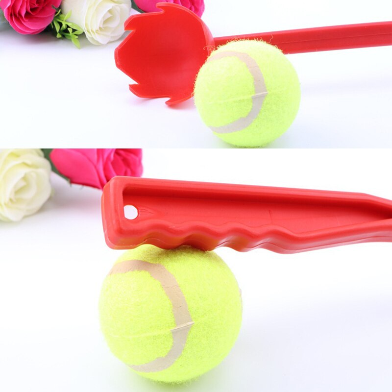 Lance-balle pour chien – Jouet interactif d'extérieur, 38 cm