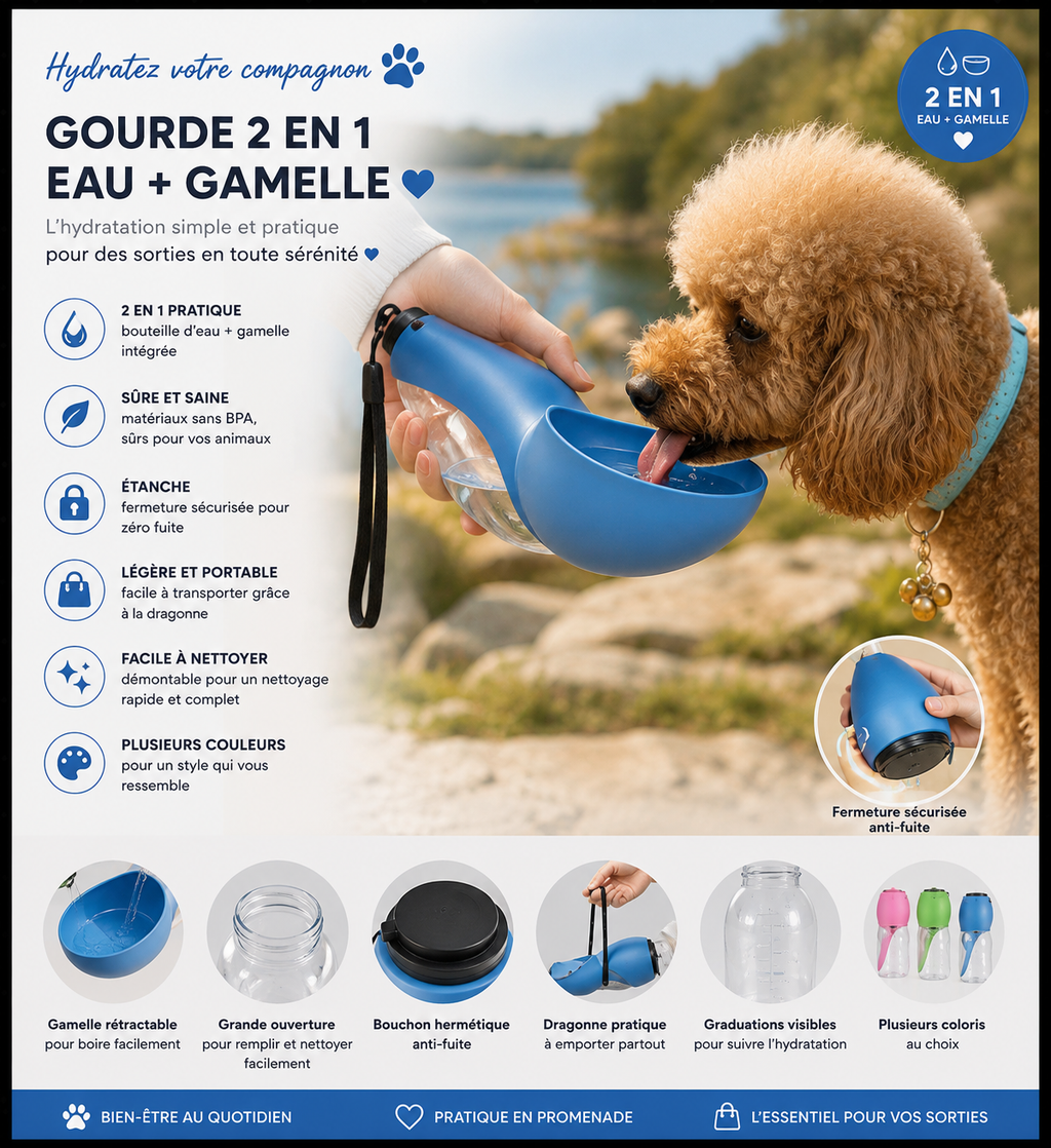 Portable pet water bottle