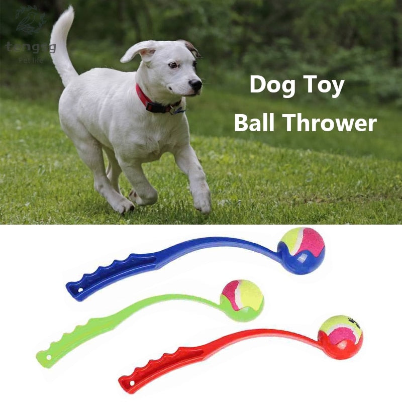 Lance-balle pour chien – Jouet interactif d'extérieur, 38 cm