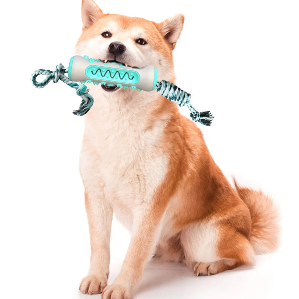 Brosse à dents à mâcher pour chien – Jouet dentaire 11 cm