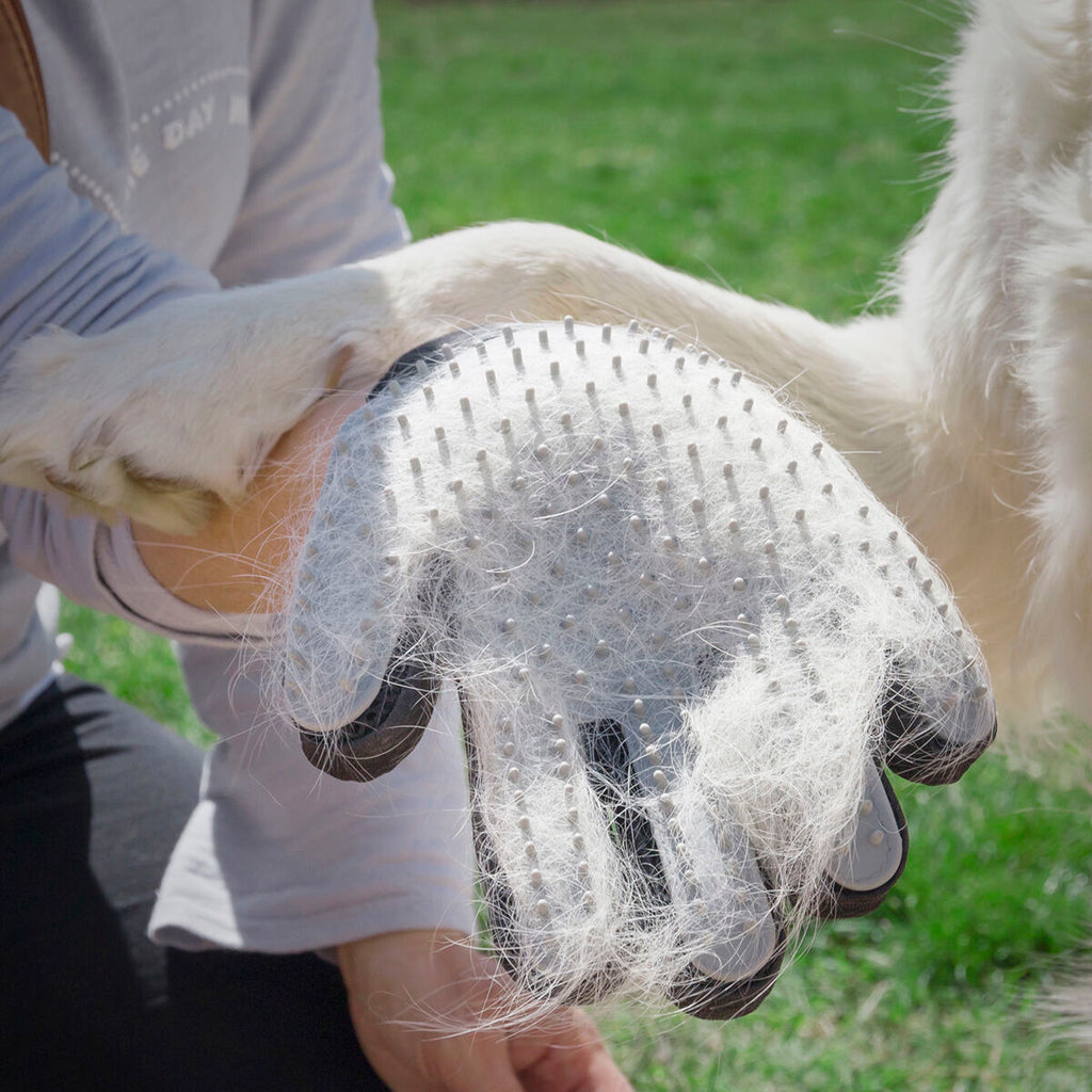 Innovagoods Gant Pour Brosser Et Masser Les Animaux Domestiques Relpet Innovagoods