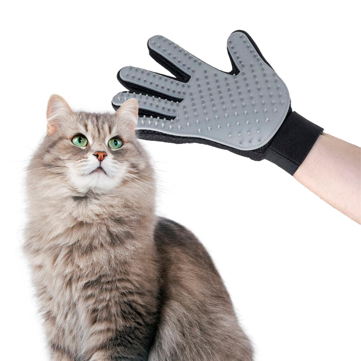 Innovagoods Gant Pour Brosser Et Masser Les Animaux Domestiques Relpet Innovagoods