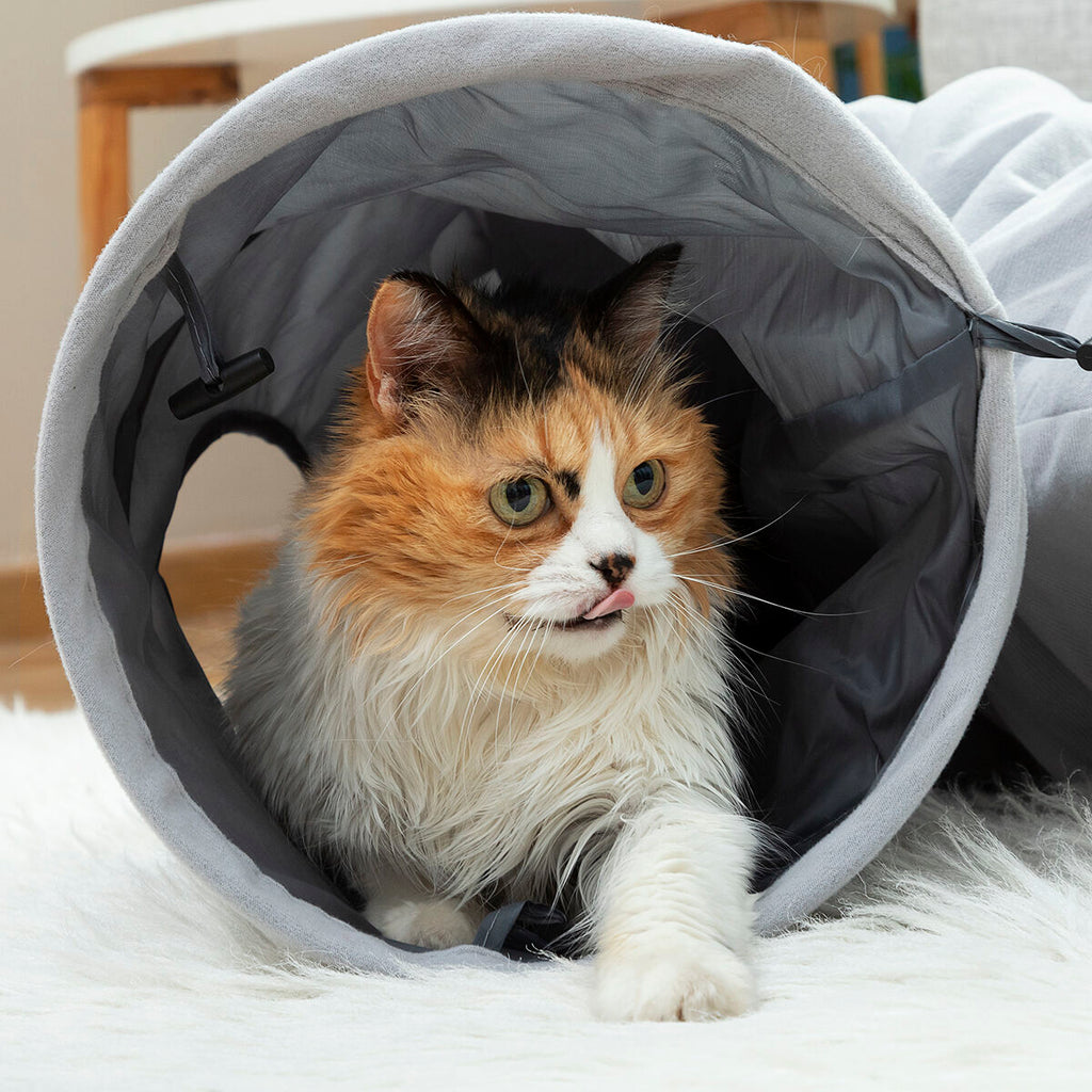 Innovagoods Tunnel De Jeu Pliable Pour Animaux De Compagnie Funnyl Innovagoods