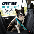 Nylongurt für Hunde im Auto