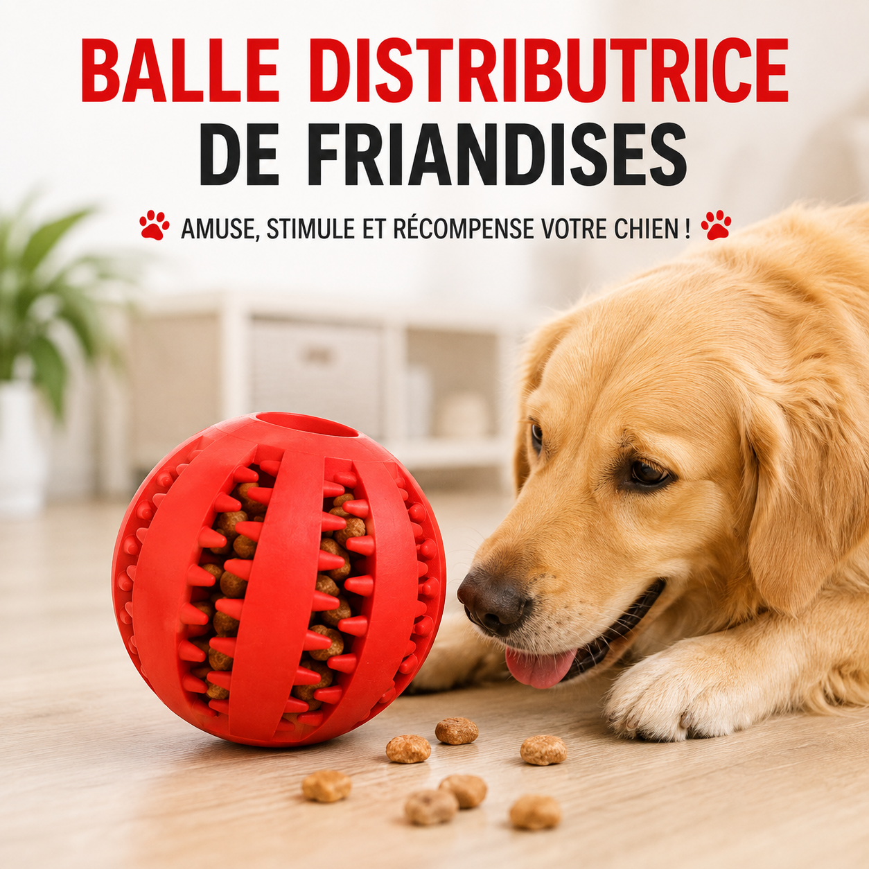 Jouet de dentition nettoyant pour chien et chiot – Caoutchouc naturel, massage des gencives