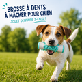 Brosse à dents à mâcher pour chien – Jouet dentaire 11 cm