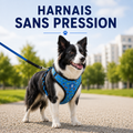 Harnais sans pression pour chien – Respirant & réfléchissant | Bleu graffiti