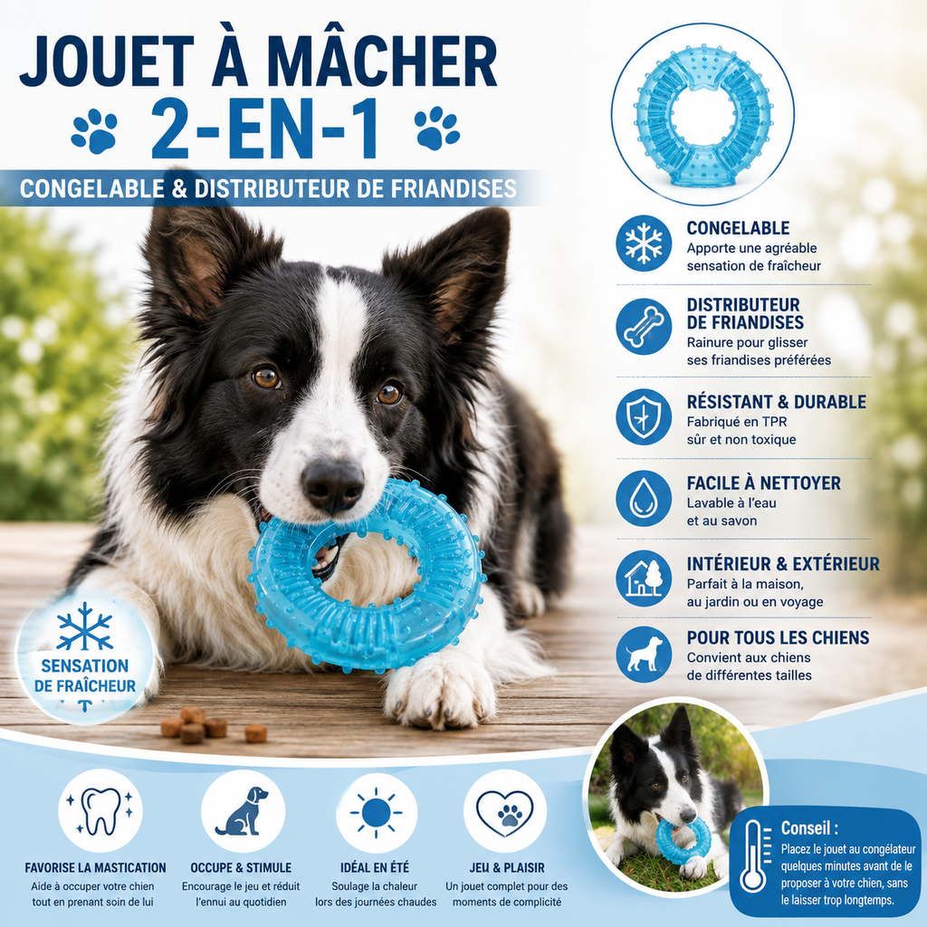 Jouet à mâcher 2-en-1 pour chien – Congelable & distributeur de friandises