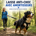 Laisse Anti-Choc avec Amortisseur pour chien – Motif Pixels