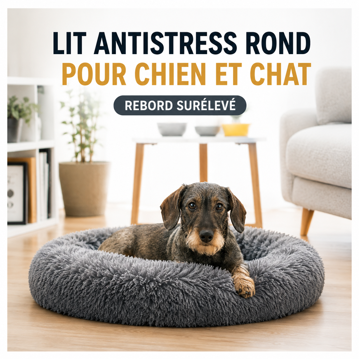 Lit Antistress Rond pour Chien et Chat – Rebord surelévé & Base Antidérapante